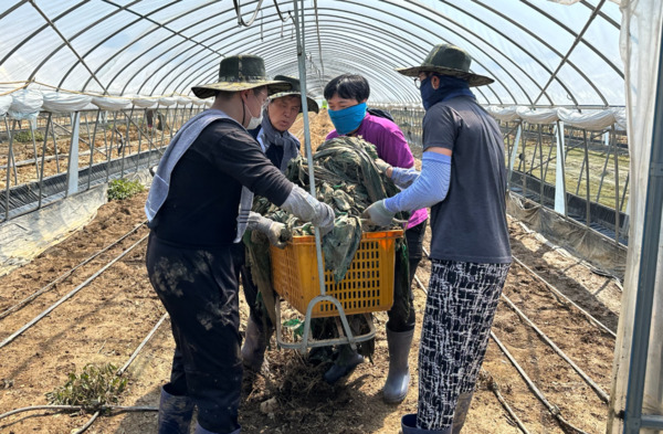 충남도의회 기획경제위원회는 25일 소속 의원과 직원·충남평생교육인재육성진흥원 직원 등 총 30여 명은 천안 수신면 농가에서 시설하우스 내 작물과 파손된 구조물 철거 등을 실시하며 피해 복구에 힘을 보탰다고 밝혔다. / 충남도의회 제공