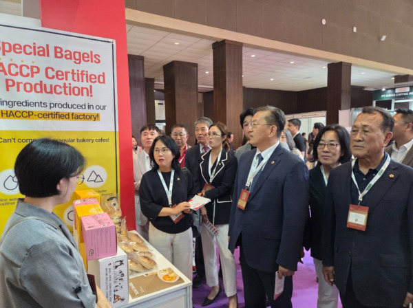 충청광역연합의회 대표단(의원 9명·직원 5명)은 지난 21일부터 25일까지 3박 5일간 인도네시아 자카르타를 방문하여 충청광역연합이 주최하고, 충남테크노파크 주관으로 열린 '2025년 충청권 중소·벤처기업 해외박람회'에 참석하여 인도네시아 건설협회(AKTI)와 KOTRA 자카르타 지사를 방문했다고 밝혔다. / 충청광역연합의회 제공