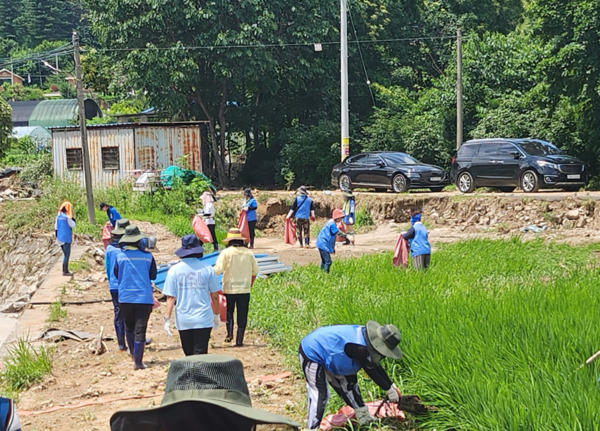 종로구의회는 지난 23일 김종보 의원과 이미자 의원이 집중호우로 큰 피해를 입은 경기 가평군 조종면 신상3리를 찾아 수해 복구 자원봉사에 참여했다고 밝혔다. / 김종보 의원 제공