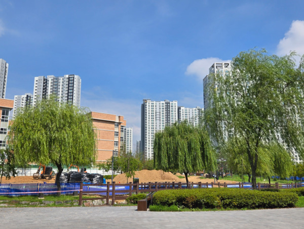 충남도의회는 30일 국민의힘 신순옥 의원이 천안시 불당동 능수버들공원을 찾아 '기후대응도시숲 조성 사업' 현황을 점검하고, 주민 편익 증진 및 기후 대응 효과 극대화를 위한 다양한 의견을 청취했다고 밝혔다. / 신순옥 의원 제공