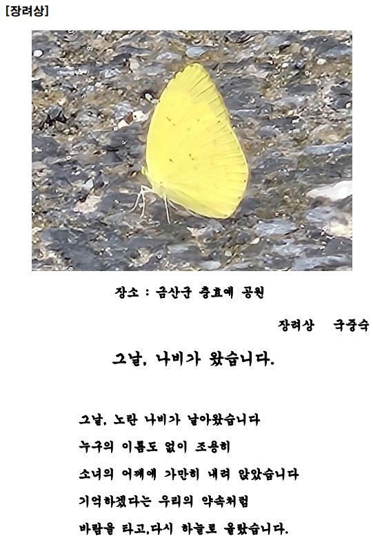 더불어민주당 충남도당 여성위원회는 지난 11일 '제1회 기림의 날 디카시(디지털 카메라 사진 + 창작시) 공모전'의 우수작품을 최종 선정해 발표했다. 사진은 장려상 논산시 국중숙 님의 '그날, 나비가 왔습니다' / 더불어민주당 충남도당 제공