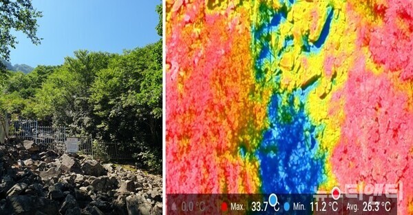 왼쪽부터 '밀양 얼음골' 풍혈지  현장, 열화상 조사 사진(2025년 7월 24일 오전 11시 경) / 국립수목원 제공