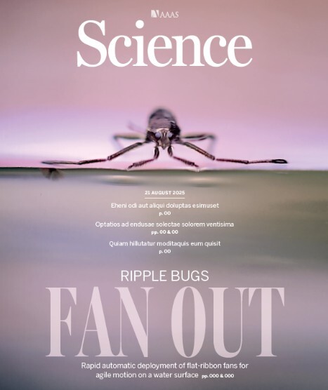 논문 표지(안) / 과학기술정보통신부 제공