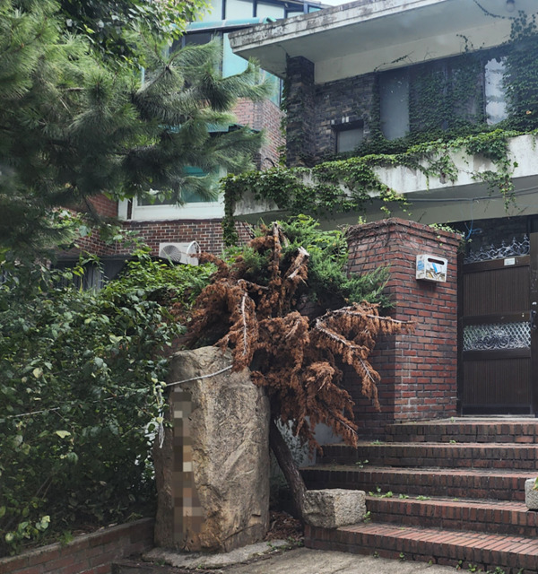 종로구의회는 지난 21일 이미자 의원이 오랜 기간 관리되지 않아 주민 불편을 초래한 민원을 접수받고 현장을 방문하여 신속한 정비를 추진했다고 밝혔다. 사진은 정비 전 모습 / 이미자 의원 제공