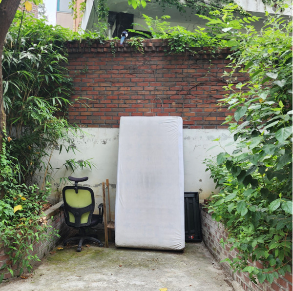 종로구의회는 지난 21일 이미자 의원이 오랜 기간 관리되지 않아 주민 불편을 초래한 민원을 접수받고 현장을 방문하여 신속한 정비를 추진했다고 밝혔다. 사진은 정비 후 모습 / 이미자 의원 제공