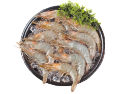 새우류 / 해양수산부 제공