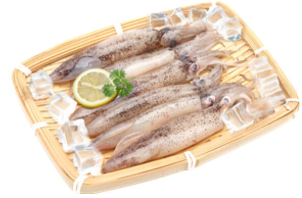 / 해양수산부 제공