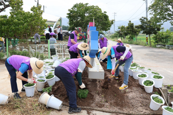 서산시의회는 2일 서산의 대표 가을 축제인 서산국화축제의 성공적인 개최를 기원하며 국화축제장(고북면 복남골길 23-3) 일원에서 봉사활동을 진행했다고 밝혔다. / 서산시의회 제공