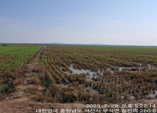 서산시의회는 9일 제308회 임시회 제1차 본회의에서 더불어민주당 최동묵 의원이 대표 발의한 '부석면 B지구 농업기반시설 관리권 조속 이관 촉구 건의안'을 만장일치로 채택했다고 밝혔다. 사진은 부석면 칠전리 침수피해 모습 / 최동묵 의원 제공