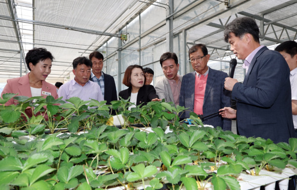 충남도의회 농수산해양위원회는 11일 제361회 임시회 기간 중 부여와 논산 지역의 농수산 핵심 시설을 방문해 지역 현안을 점검하고 지원 방안을 모색했다고 밝혔다. / 충남도의회 제공