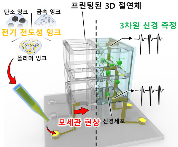 사진 : 체외배양 3D 신경네트웍 모델용 맞춤형 세포배양 지지체-미세전극칩 일체형 플랫폼 개요도