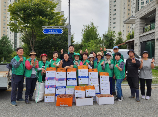 세종시 도담동은 지난 2일 도담동 일원에서 직접 재배한 고구마를 수확해 관내 취약계층 10가구와 경로당 16곳에 전달했다고 밝혔다. / 세종시청 제공