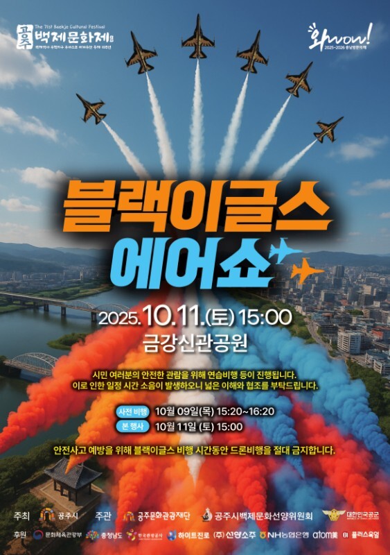 공주 백제문화제 '블랙이글스 에어쇼' 홍보물