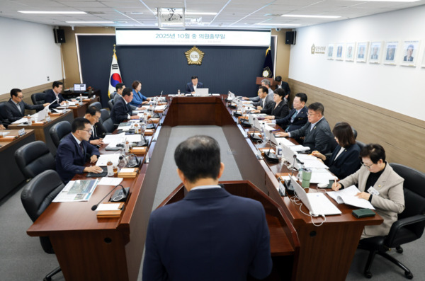 당진시의회는 지난 16일 의회 대회의실에서 ‘10월 중 의원출무일’을 개최했다고 밝혔다. / 당진시의회 제공