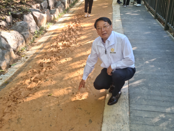 종로구의회는 지난 16일 김종보 의원이 숭인근린공원 맨발산책로를 방문해 관계부서와 함께 현장 점검을 실시했다고 밝혔다. / 김종보 의원 제공