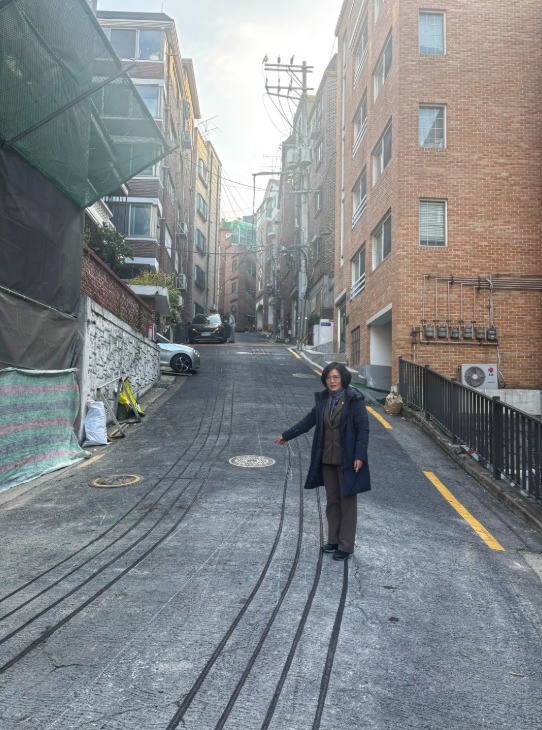 종로구의회는 지난 28일 이미자 의원이 동숭4나길 일대의 열선 설치 완료 현장을 찾아 점검했다고 밝혔다. / 이미자 의원 제공