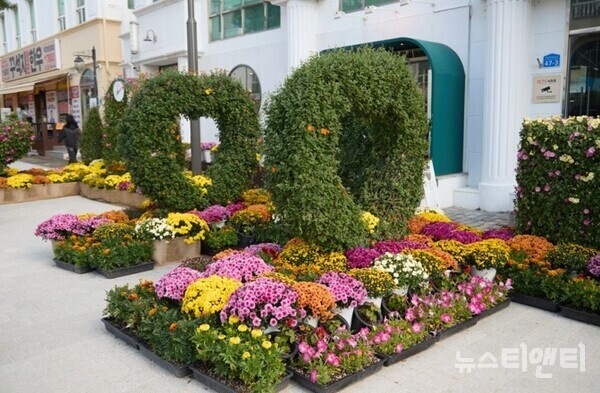 ‘2025 아산시 국화전시회’ 현장