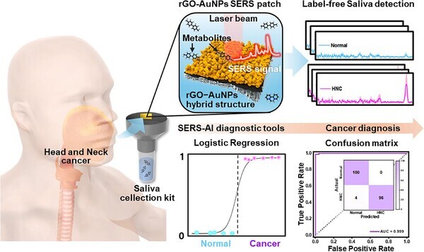 을 이용한 두경부암 진단 개념도