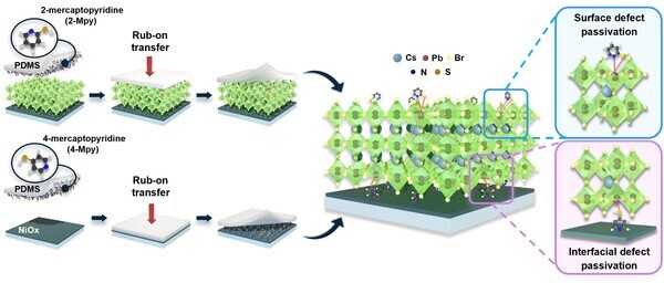 용매를 사용하지 않는 건식 전사공정(루브온 전사공정)을 이용해 페로브스카이트층의 상·하부 계면에 맞춤형 기능성 분자층을 도입, 양쪽 계면을 동시에 안정화 하는 과정을 나타낸 모식도