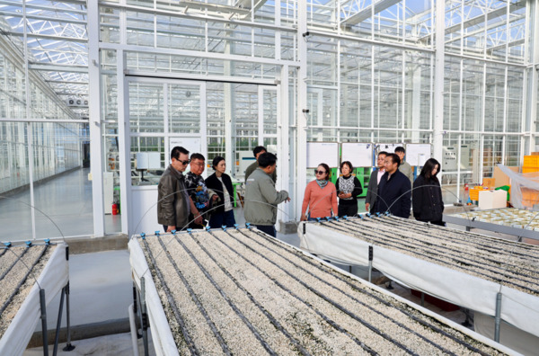 당진시의회 산업건설위원회는 지난 3일부터 4일까지 2일간 여수시와 김제시 일원에서 미래농업 발전 방향을 모색하기 위한 현장견학을 실시한 가운데, 김제 스마트팜 혁신밸리를 찾은 의원들이 현장을 살펴보고 있다. / 당진시의회 제공