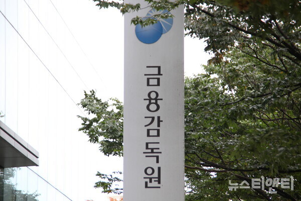 금융감독원 / 뉴스티앤티