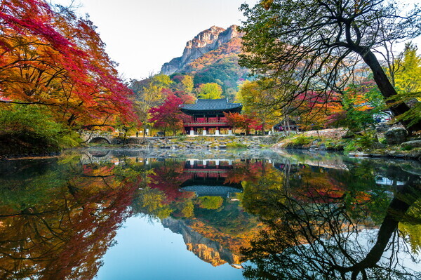 장성 백양사 쌍계루/전남도 제공