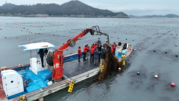 미에너지부 산하기관 미역 양식장을 방문 모습/완도군 제공
