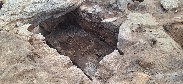 무안군은 지난 5일 몽탄면 신학동고분군 발굴 조사 현장에서 ‘무안 학산리 신학동고분군 발굴조사 학술자문회의’가 열렸다./무안군 제공