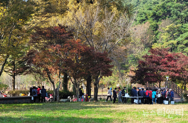 김제시 금산면 마실길 걷기 행사 (2025 11 06) / 뉴스티앤티 ⓒ조주연 기자