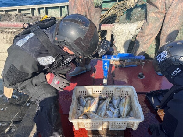 목포해경이 어획물 무게을 측정하고 있다./목포해경 제공