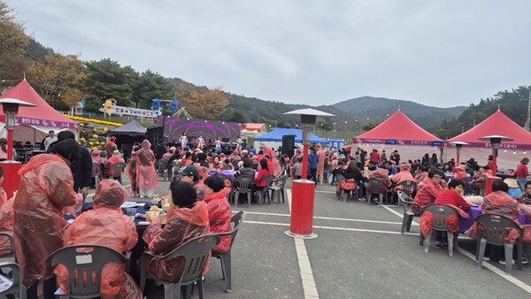 전남 진도군은 최근 진도개테마파크 국화축제장에서 ‘진도홍주 하이볼 페스타’를 성황리에 개최했다./진도군 제공