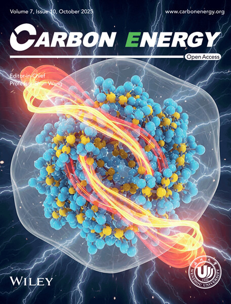1차원 전자화물 기반 고효율 이중기능성 전기촉매 개발 개략도 및 저널 커버 이미지