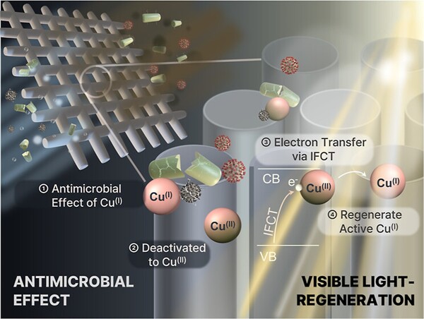본 연구에서는 가시광선만으로 스스로 재생되는 항균 공기필터를 개발함. 이산화티타늄 나노튜브 위에 구리 클러스터를 결합시켜 세균·바이러스를 빠르게 비활성화하며, 빛을 받아 Cu(I) 활성종을 반복적으로 재생해 장기간 항균력을 유지함