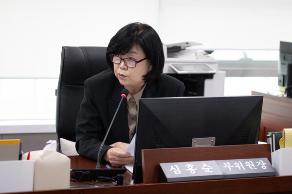 심홍순 경기도의원이 발언하고 있다. / 경기도의회