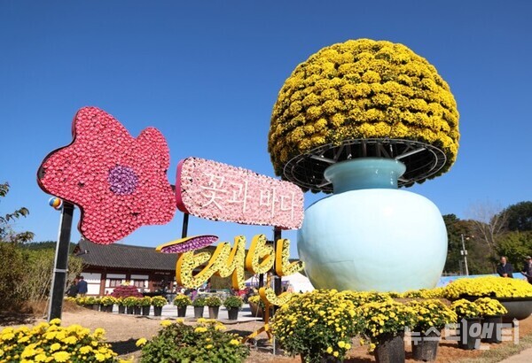 ‘2025 태안 국화축제’ / 태안군 제공