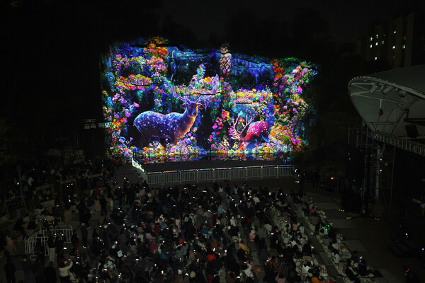 지난 15일 배봉산 숲속폭포에서 미디어파사드 작품이 첫 상영되고 있다. / 동대문구청 제공