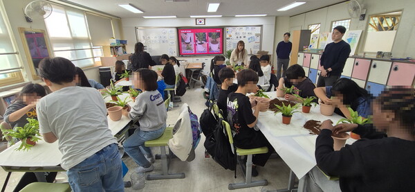 용산구가 추진 중인 ‘교실 속 숲 만들기’ 시범사업에서 학생들이 업사이클링 화분에 직접 식물을 심으며 생태·환경 교육을 체험하고 있다. / 용산구청 제공