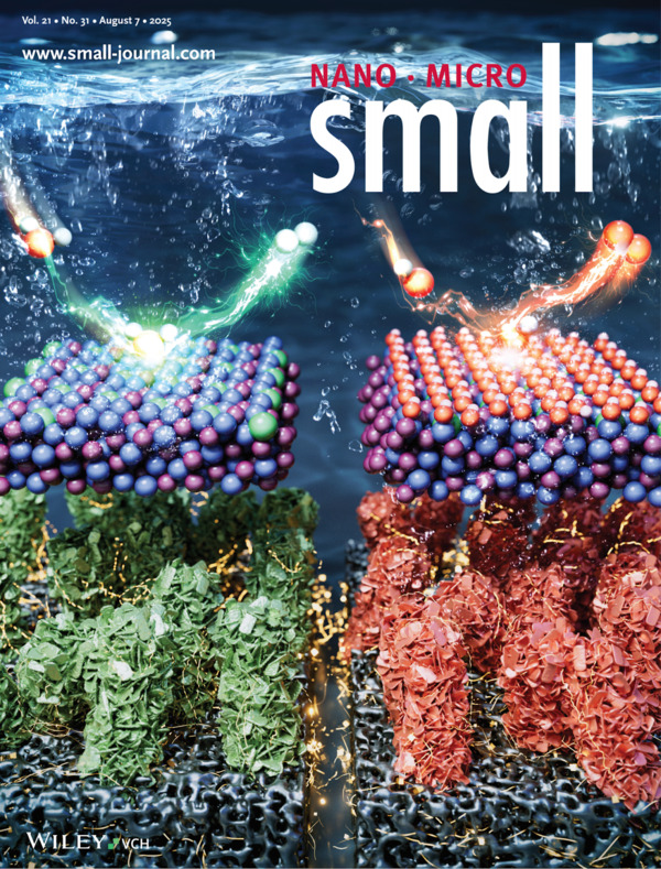 Small: Volume 21, Issue 31 Back Cover 이미지