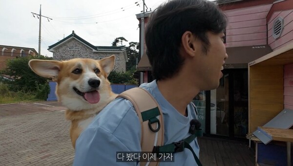 '반려견 업고 태안여행' 영상(박민원 作). 태안군 ‘반려동물 동반여행 콘텐츠 공모전’ 대상 수상 / 태안군 제공