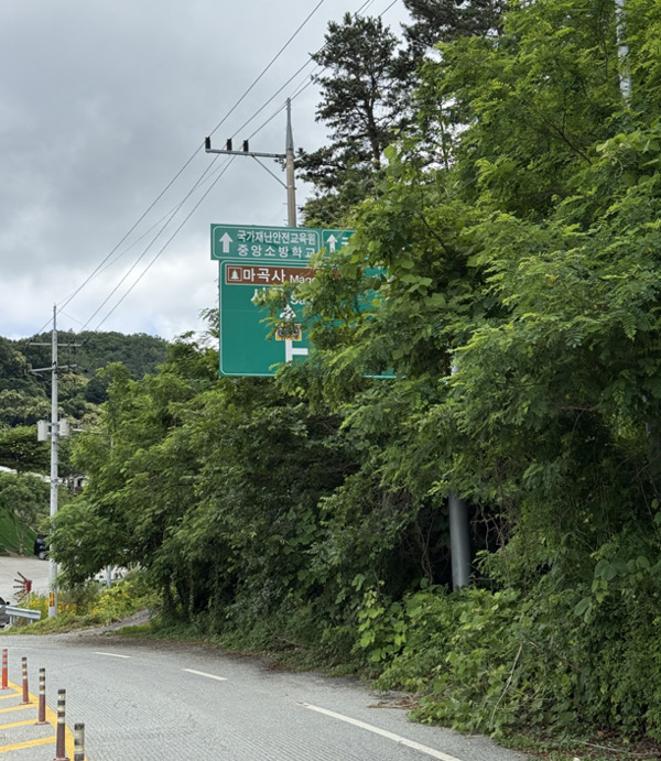 충남도의회는 지난 17일 더불어민주당 조철기 의원이 충남도 건설본부 소관 2025년도 행정사무감사에서 "충남 도내 도로표지판 관리 실태가 방치 수준을 넘어 충남도의 행정 신뢰를 흔드는 심각한 문제라"며, 강하게 질타했다고 밝혔다. / 조철기 의원 제공