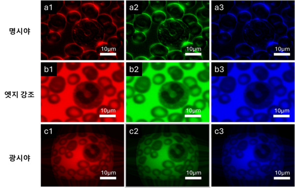메타 현미경 시스템의 이미징 모드 별 혈액 세포 이미징 결과
