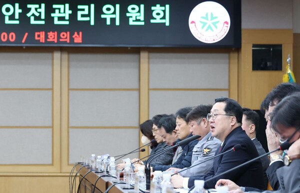 대전시는 오는 30일 개최 예정인 '한화이글스 불꽃쇼'를 앞두고 18일 시청 대회의실에서 안전관리위원회를 열고 행사 전반의 안전관리계획을 점검했다. / 대전시 제공
