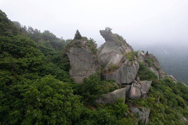 전남 보성군은 전날 국가유산청이 '보성 오봉산 용추동과 칼바위 일원'을 국가지정자연유산 명승으로 최종 지정했다./보성군 제공