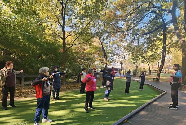 자연 속에서 진행된 ‘바르게 걷기’ 프로그램에 참여한 노원구 어르신들이 강사의 안내에 따라 준비 운동을 하며 신체 활동을 이어가고 있는 모습. / 노원구청 제공