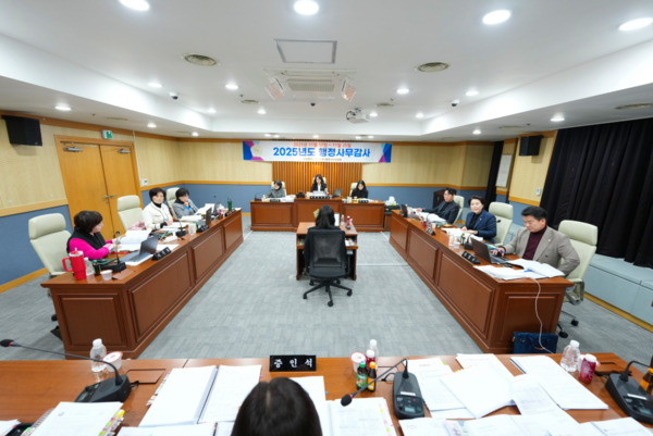 대전 서구의회 행정자치위원회는 지난 19일 자치행정과·문화체육과·민원여권과를 대상으로 2025년도 행정사무감사 3일 차 감사를 진행했다고 밝혔다. / 대전 서구의회 제공