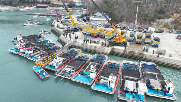 완도군 군외면 당인리 물김 위판이 진행되고 있다./완도군 제공