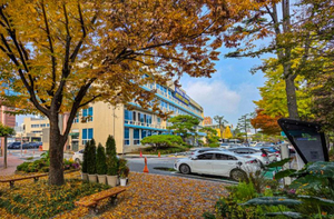 대전 중구, 2026년도 예산안 7,228억 원 편성 - 뉴스 썸네일 이미지