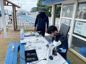 "양식장 기생충 잡는다"... 충남 수산자원연구소, 구제사업 참여 어가 모... - 뉴스 썸네일 이미지