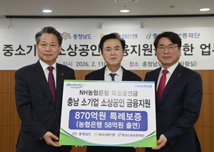 충남도, 중기·소상공인에 870억 규모 신용보증 지원 - 뉴스 썸네일 이미지